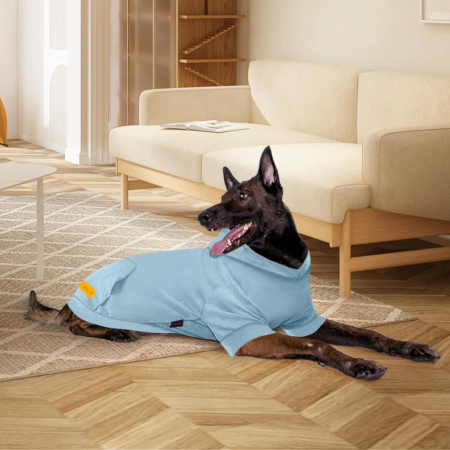 Basic Dog Hoodie Sweatshirts, Pet Clothes Hoodies, Granular Velvet, Sweater with Hat and Leash Hole, Soft Velvet Outfit Coat for Small Medium Large Dogs, Blue (Medium)