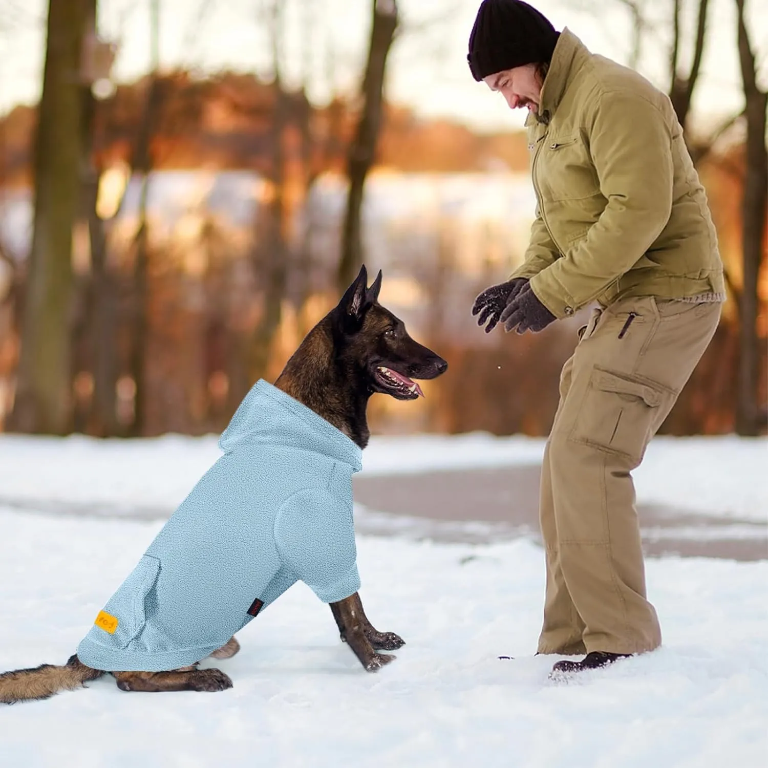 Basic Dog Hoodie Sweatshirts, Pet Clothes Hoodies, Granular Velvet, Sweater with Hat and Leash Hole, Soft Velvet Outfit Coat for Small Medium Large Dogs, Blue (Medium)