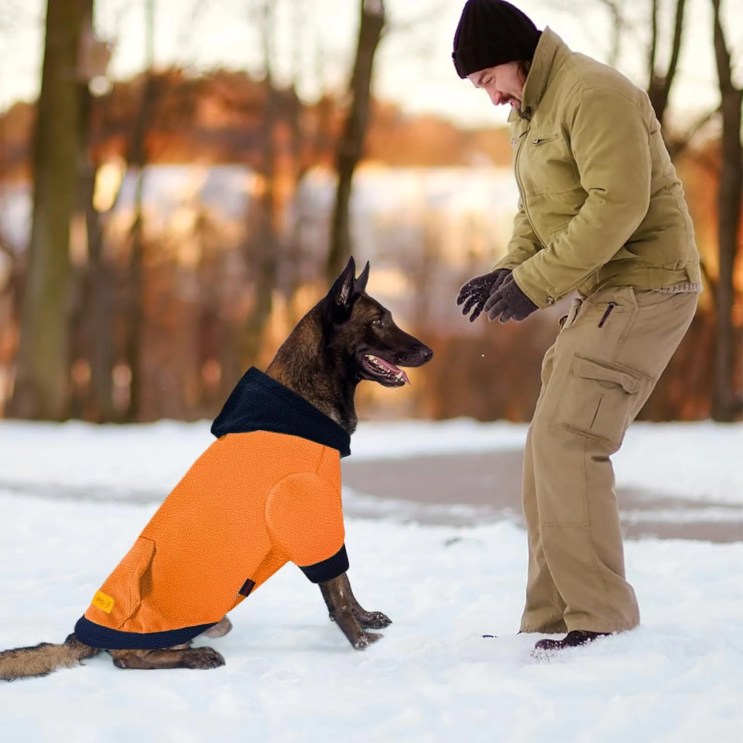 Dog Hoodie Sweatshirts, Fleece Warm Sweater for Dogs, Pet Warm Sweatshirt, Granular Velvet Sweater with Hat and Leash Hole, Soft Velvet Outfit Coat for Small Medium Large Dogs