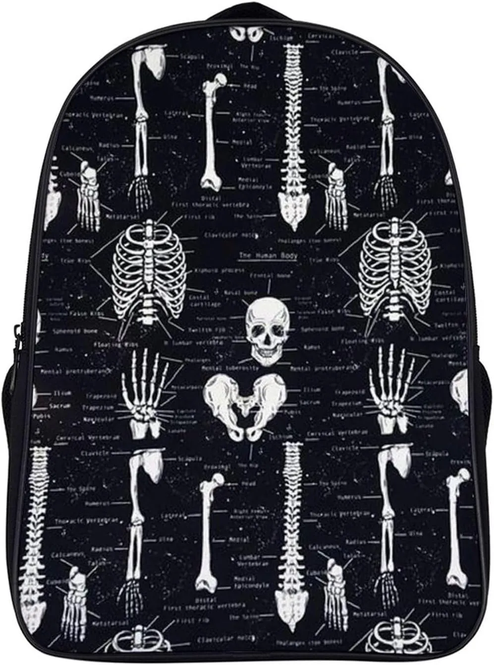 Skull Dark Skeleton Anatomy 16 Inch Backpack Durable Laptop Backpack Casual Shoulder Bag Travel Daypack