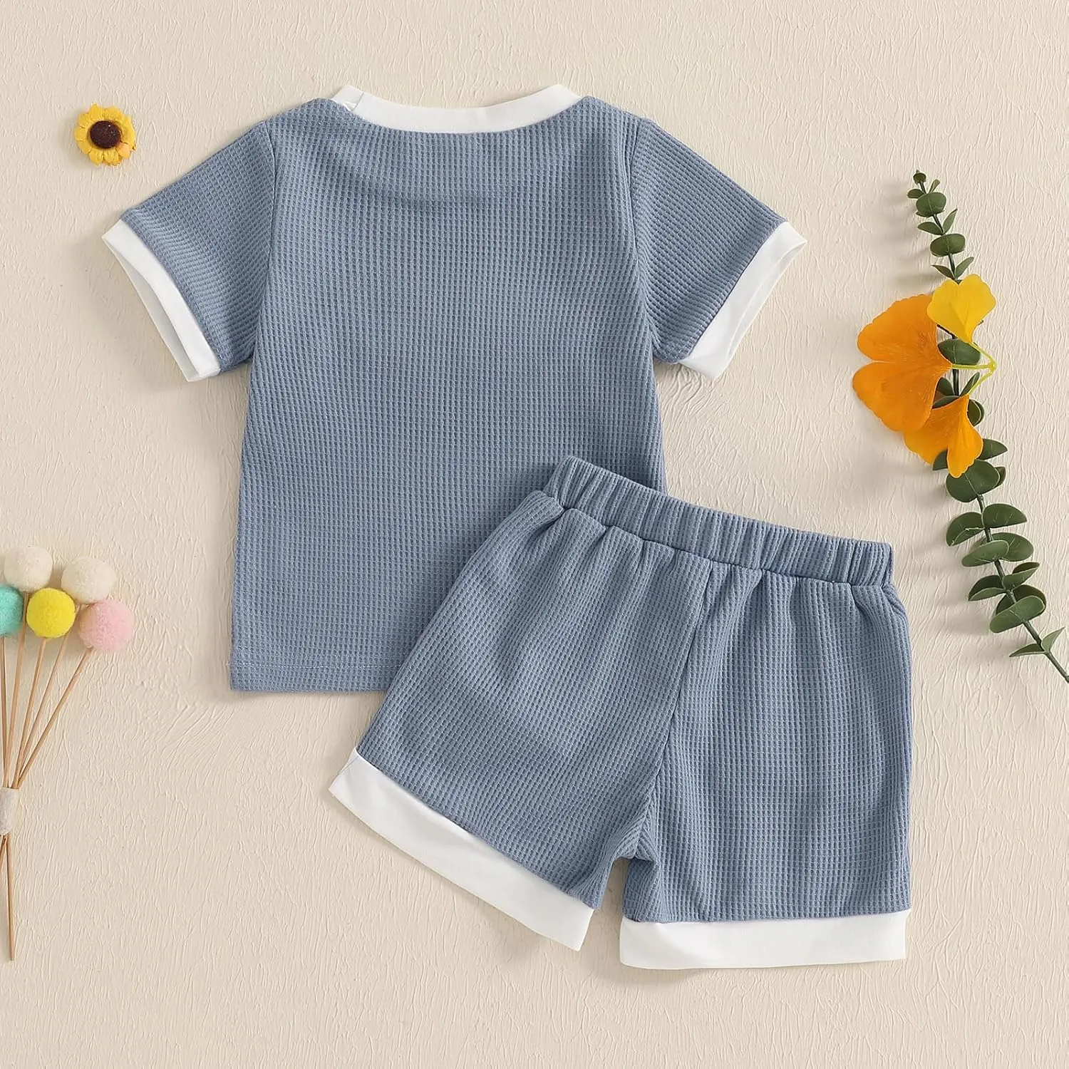 Toddler Baby Girl Summer Outfits Flower Embroidered Short Sleeve Top Shorts 2Pcs Set Infant Cute Spring Clothes