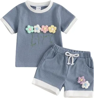 Toddler Baby Girl Summer Outfits Flower Embroidered Short Sleeve Top Shorts 2Pcs Set Infant Cute Spring Clothes